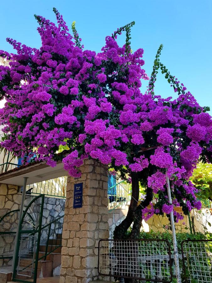 Appartamento Roso Gradac  Esterno foto